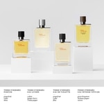 50 ML Hermès TERRE D’HERMÈS EAU GIVRÉE Parfumovaná voda  6 of 6 Parfumovaná voda