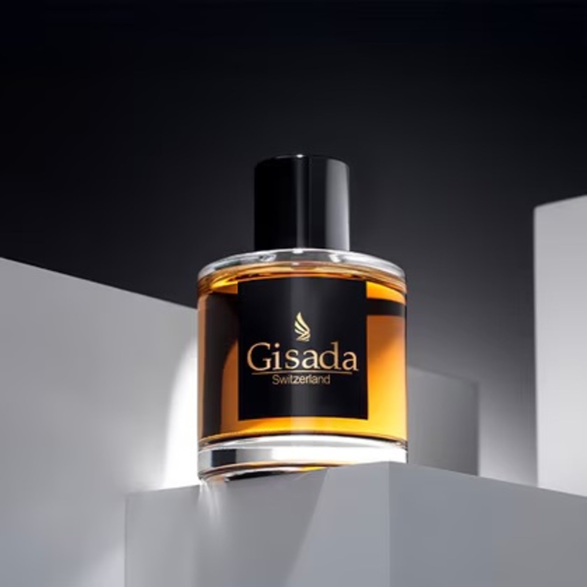 100 ML Gisada AMBASSADOR MEN Parfumovaná voda 1 of 4