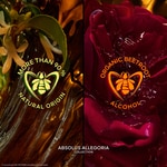 75 ML GUERLAIN ABSOLUS ALLEGORIA TABAC SAHARA Parfumovaná voda  7 of 7 Parfumovaná voda