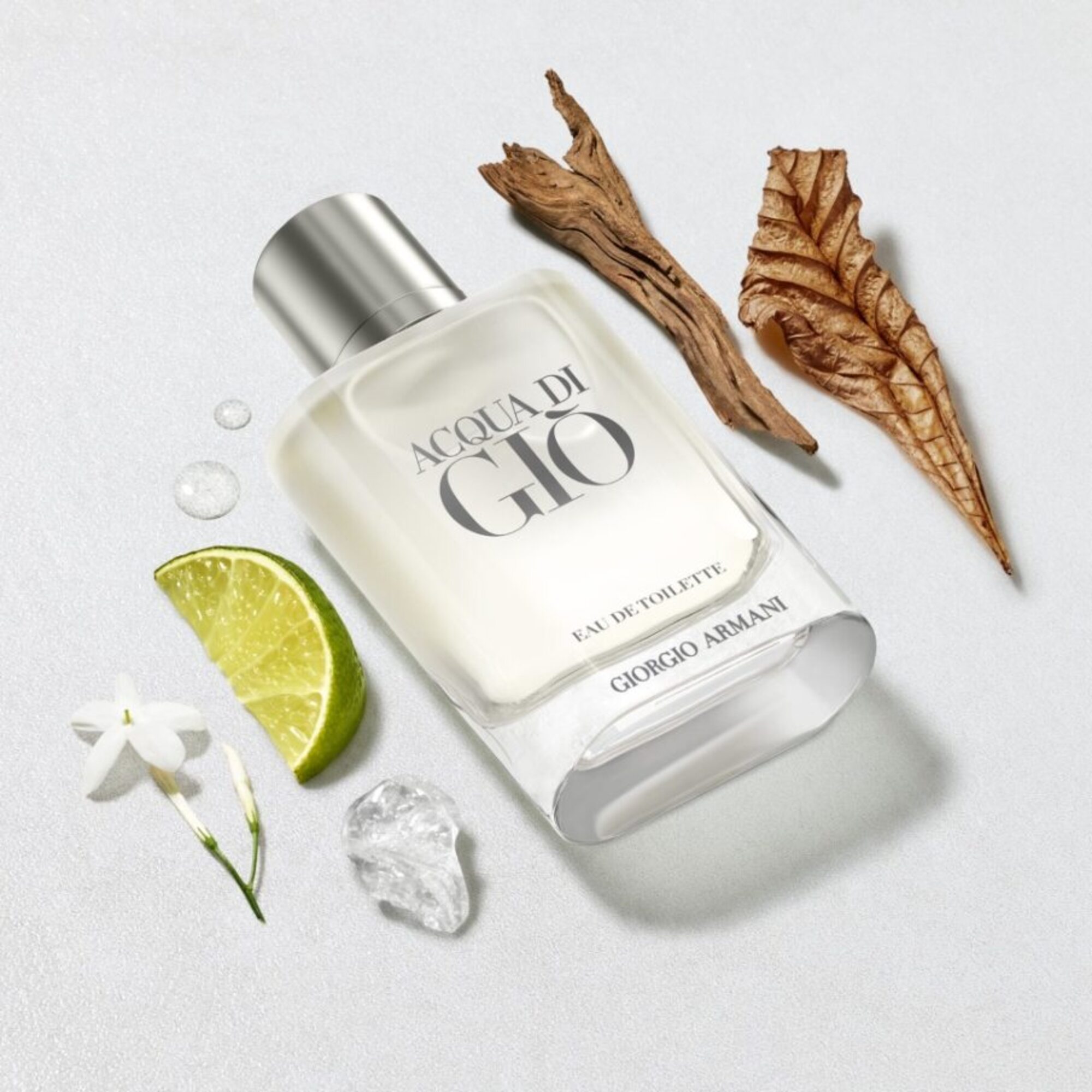 100 ML Armani ACQUA DI GIÒ EAU DE TOILETTE Toaletná voda 1 of 3