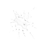 100 ML Clarins CLEANSING MICELLAR WATER Micelárna voda  2 of 2 Micelárna voda