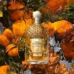 75 ML GUERLAIN AQUA ALLEGORIA MANDARINE BASILIC FORTE Parfumovaná voda  2 of 3 Parfumovaná voda