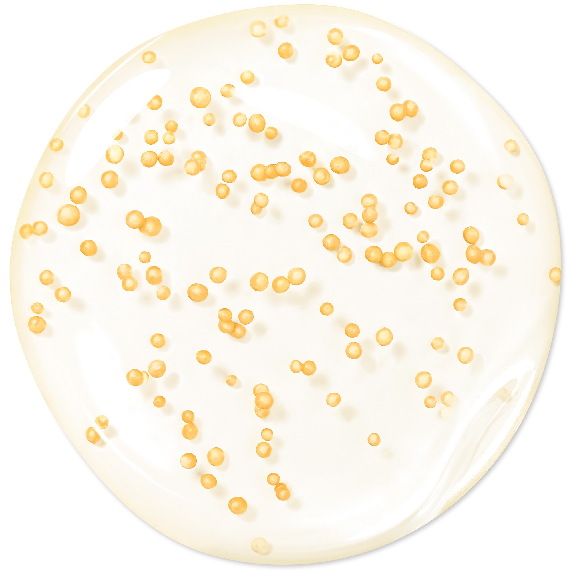 Hĺbkovo obnovujúce a omladzujúce sérum