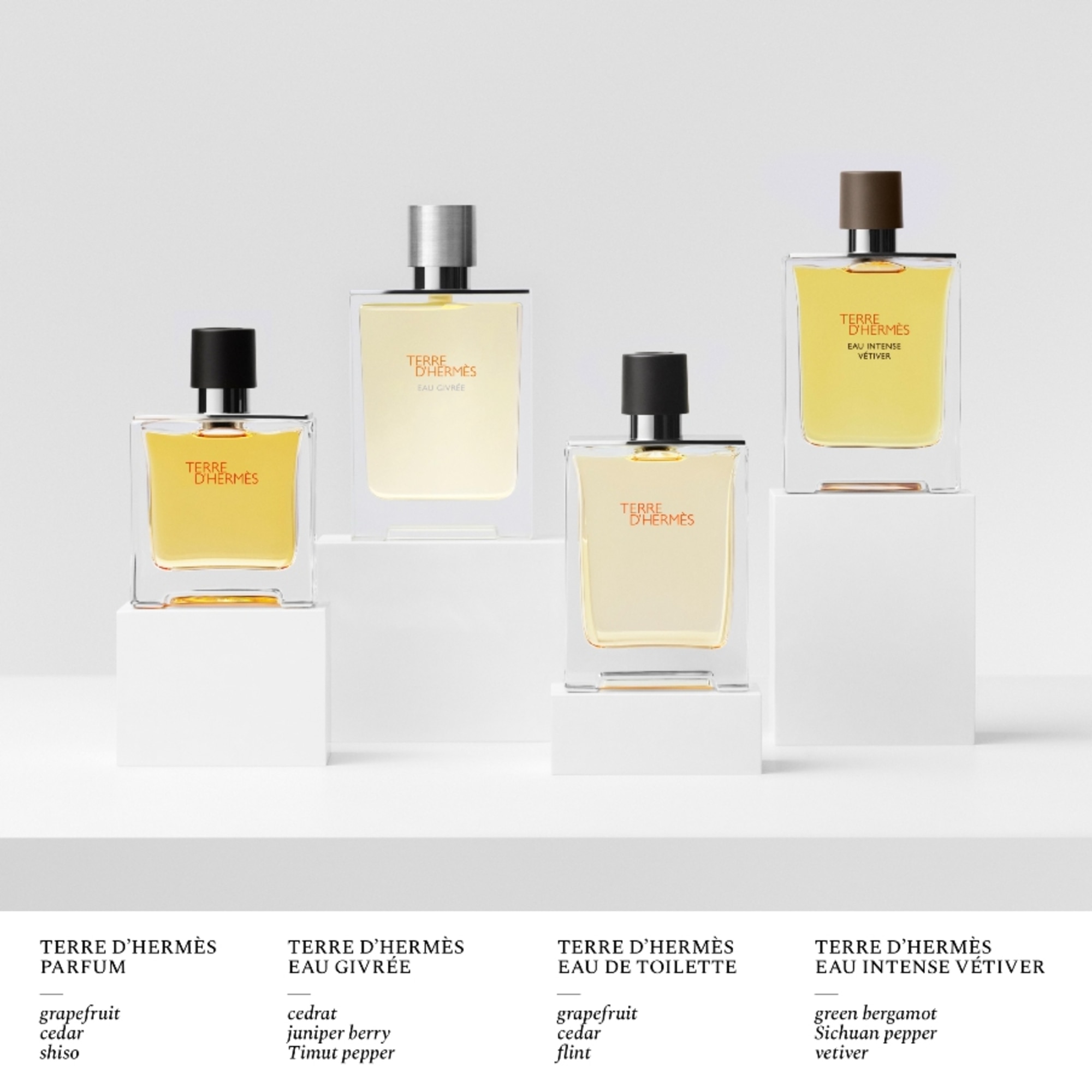 100 ML Hermès TERRE D’HERMÈS EAU GIVRÉE Parfumovaná voda  1 of 6 