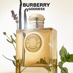 30 ML Burberry GODDESS INTENSE Parfumovaná voda  5 of 5 Parfumovaná voda