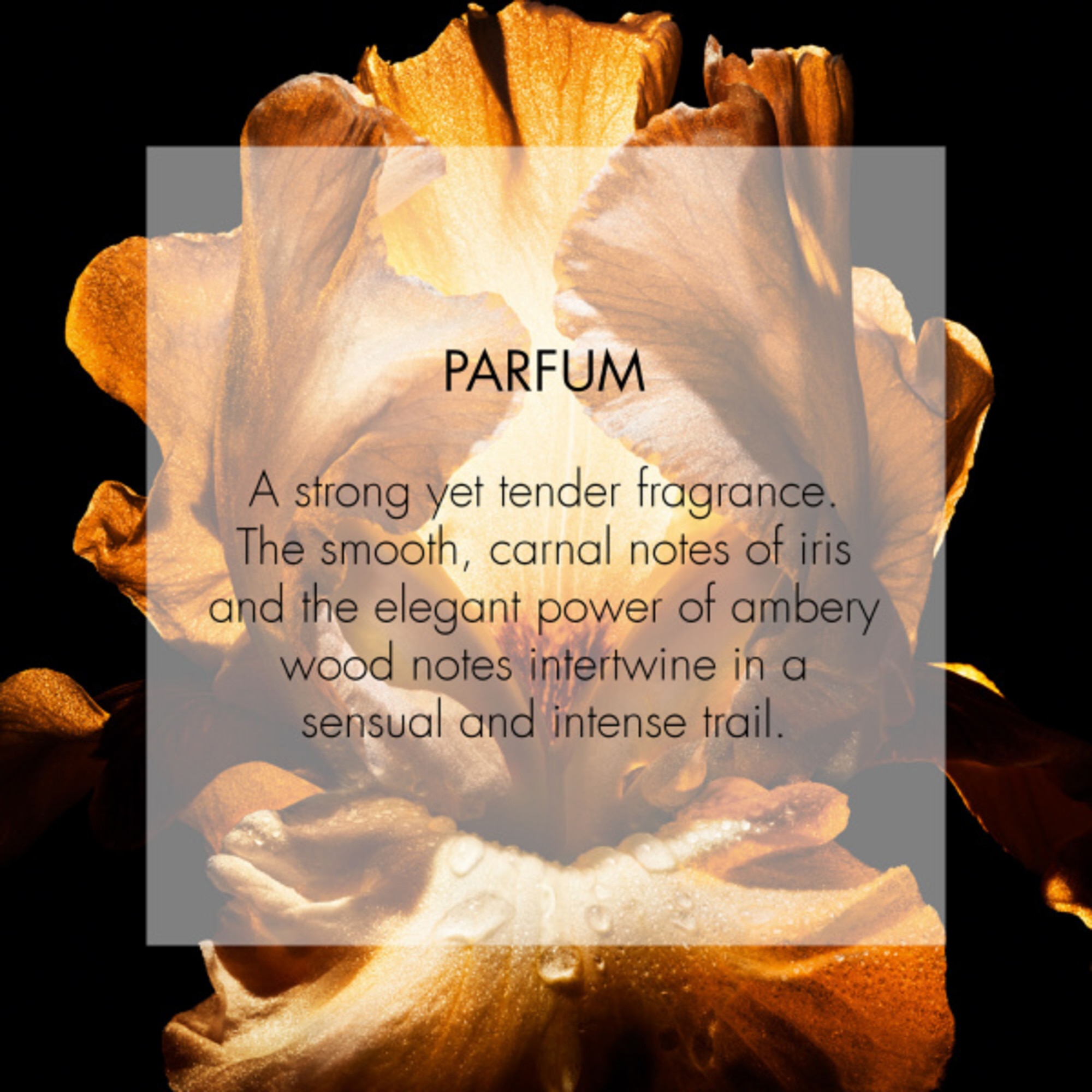 Parfum