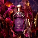 75 ML GUERLAIN ABSOLUS ALLEGORIA TABAC SAHARA Parfumovaná voda  2 of 7 Parfumovaná voda