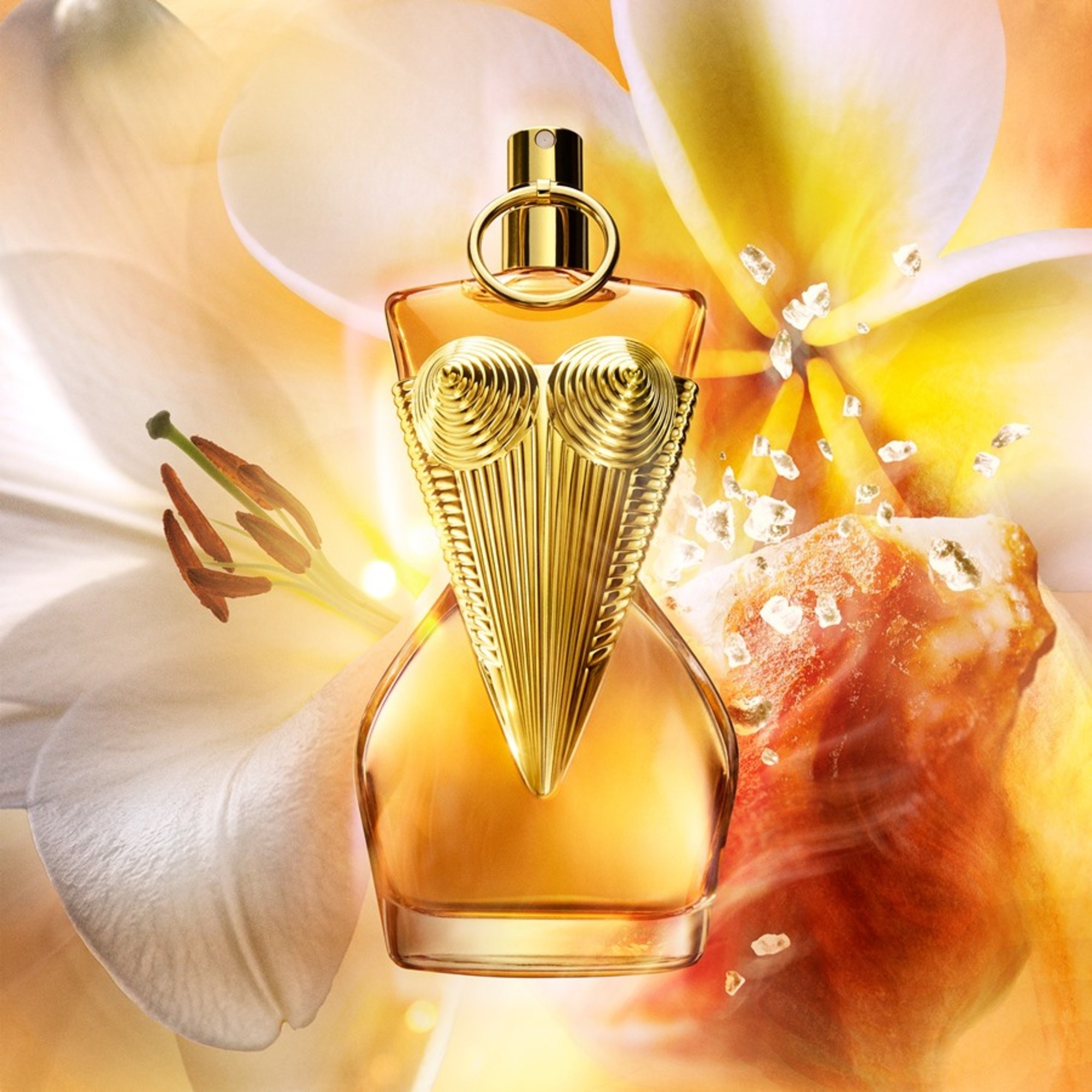 100 ML Jean Paul Gaultier DIVINE LE PARFUM Parfum  1 of 6 