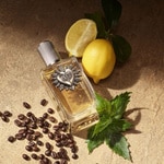 50 ML DOLCE & GABBANA DEVOTION FOR MEN Parfumovaná voda 2 of 5 Parfumovaná voda