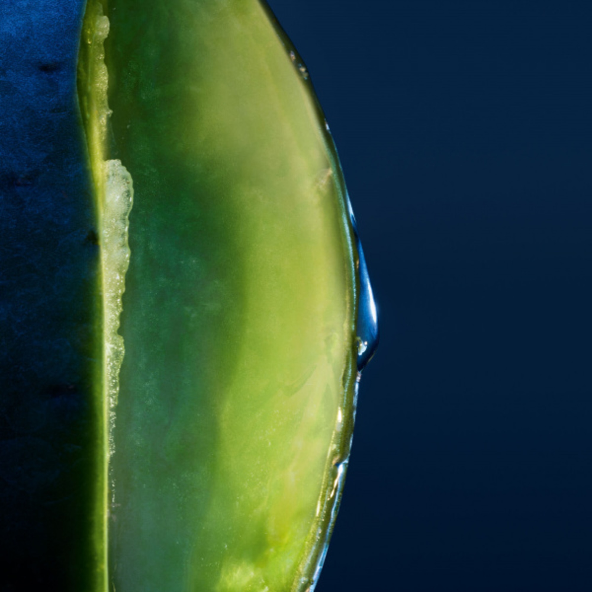 Hydratačný a zjemňujúci šampón pre mužov