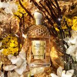 75 ML GUERLAIN AQUA ALLEGORIA FORTE BOSCA VANILLA Parfumovaná voda 2 of 3 Parfumovaná voda