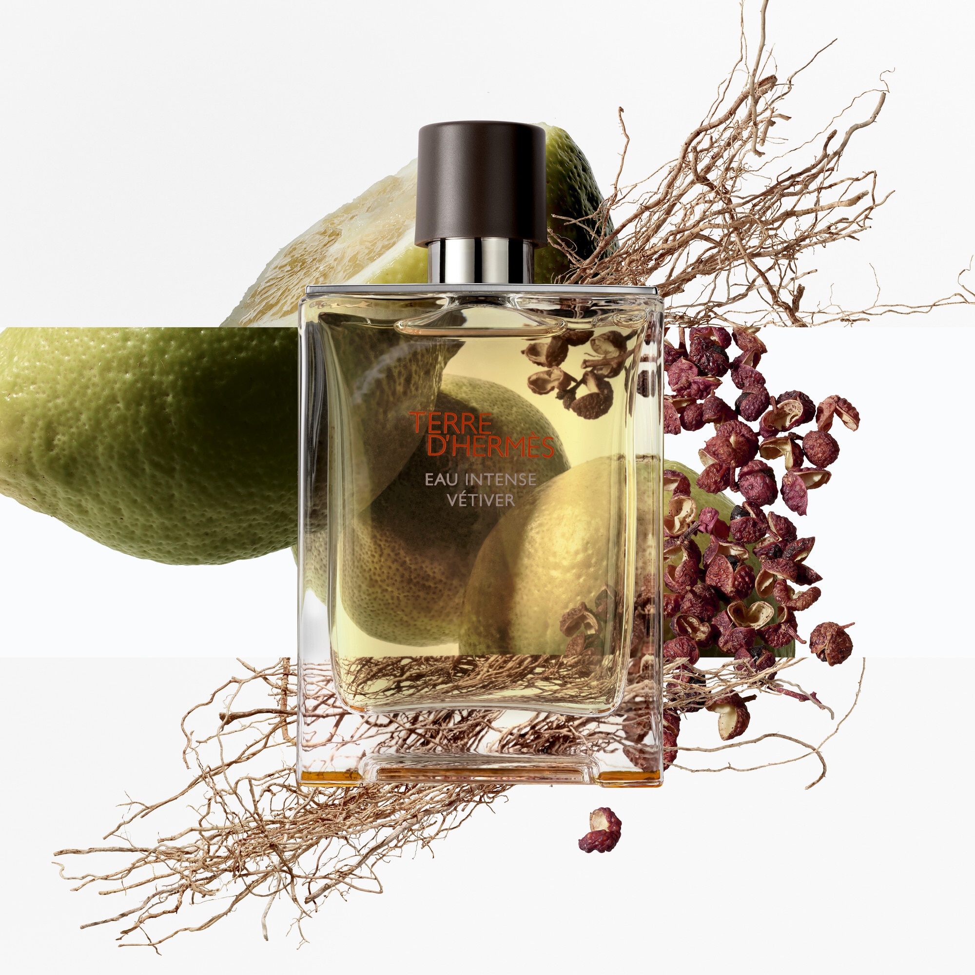 100 ML Hermès TERRE D'HERMÈS EAU INTENSE VÉTIVER Parfumovaná voda pre mužov  1 of 4 