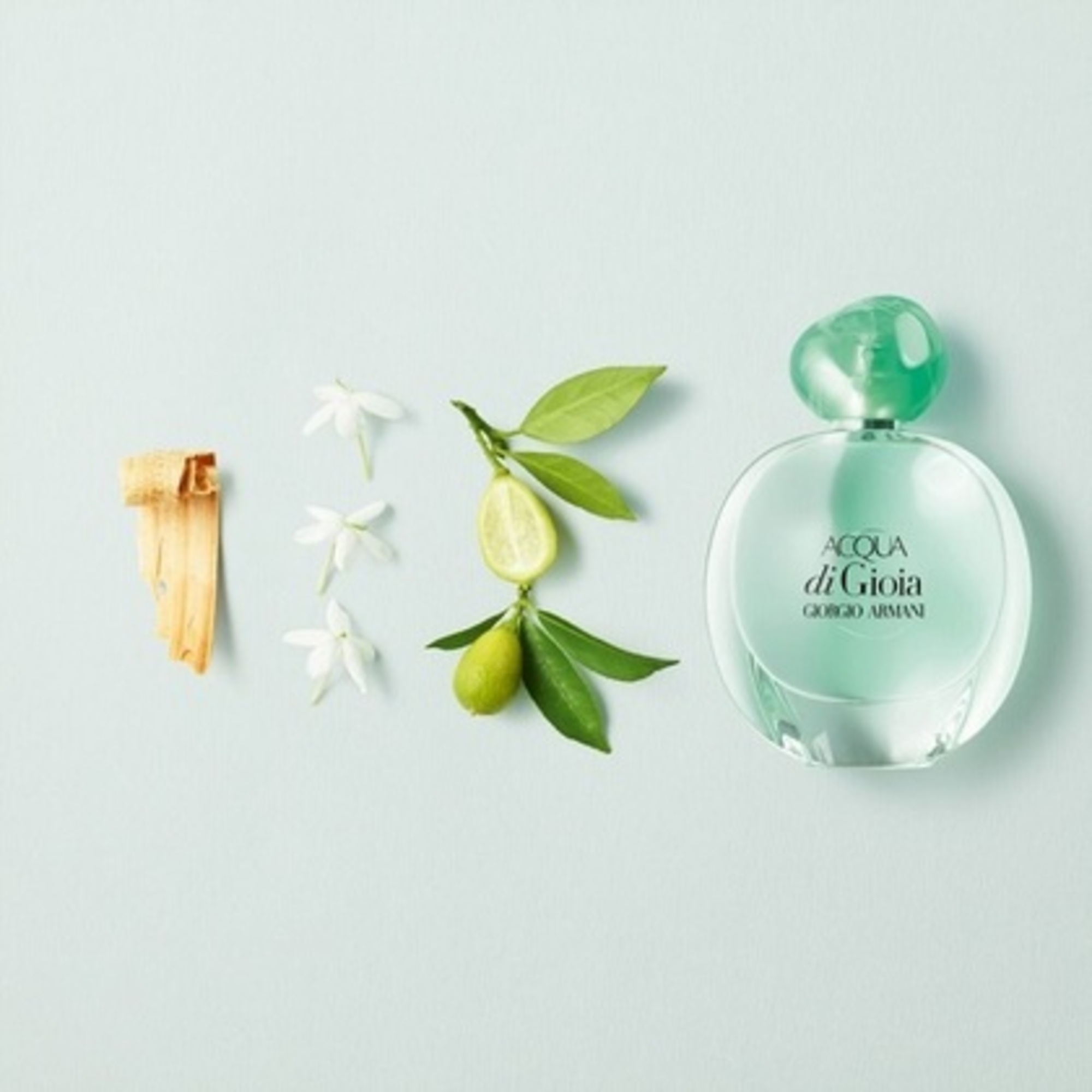 100 ML Armani Acqua Di Gioia Giorgio Armani Acqua Di Gioia Parfumovaná voda  1 of 3 