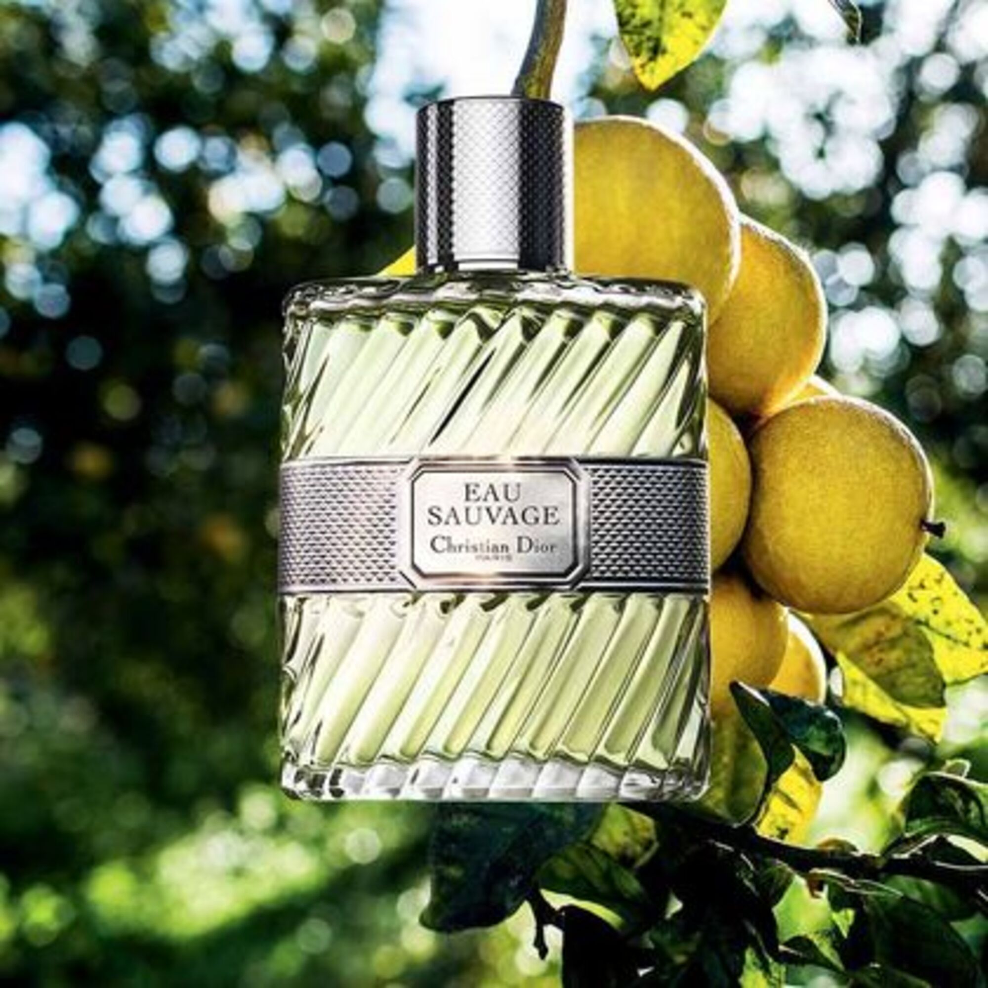 100 ML Dior EAU SAUVAGE Toaletná voda  1 of 2 