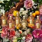 40 ML GUERLAIN AQUA ALLEGORIA FORTE FLORABLOOM Parfumovaná voda  8 of 8 Parfumovaná voda