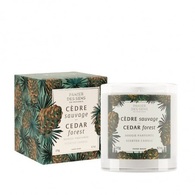  undefined SCENTED CANDLE HOME CÉDAR FOREST Vonná sviečka s prírodným voskom- cédrový les  1 of 2 