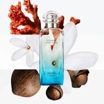 100 ML Hermès UN JARDIN SOUS LA MER Parfumovaná voda 4 of 5 Parfumovaná voda