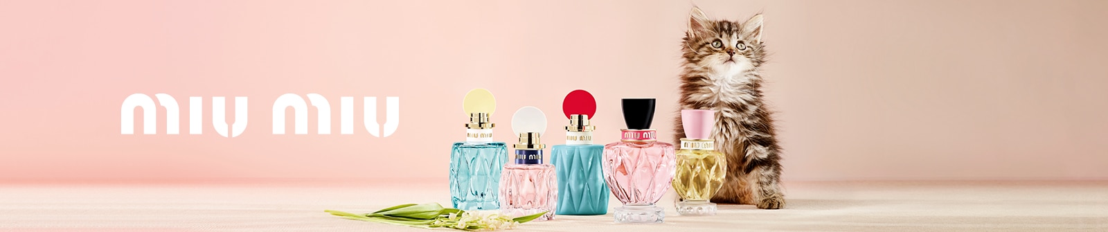 Brand-page-Desktop-1600x335px-10-.jpg